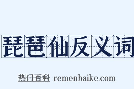 琵琶仙反义词是什么意思的图片